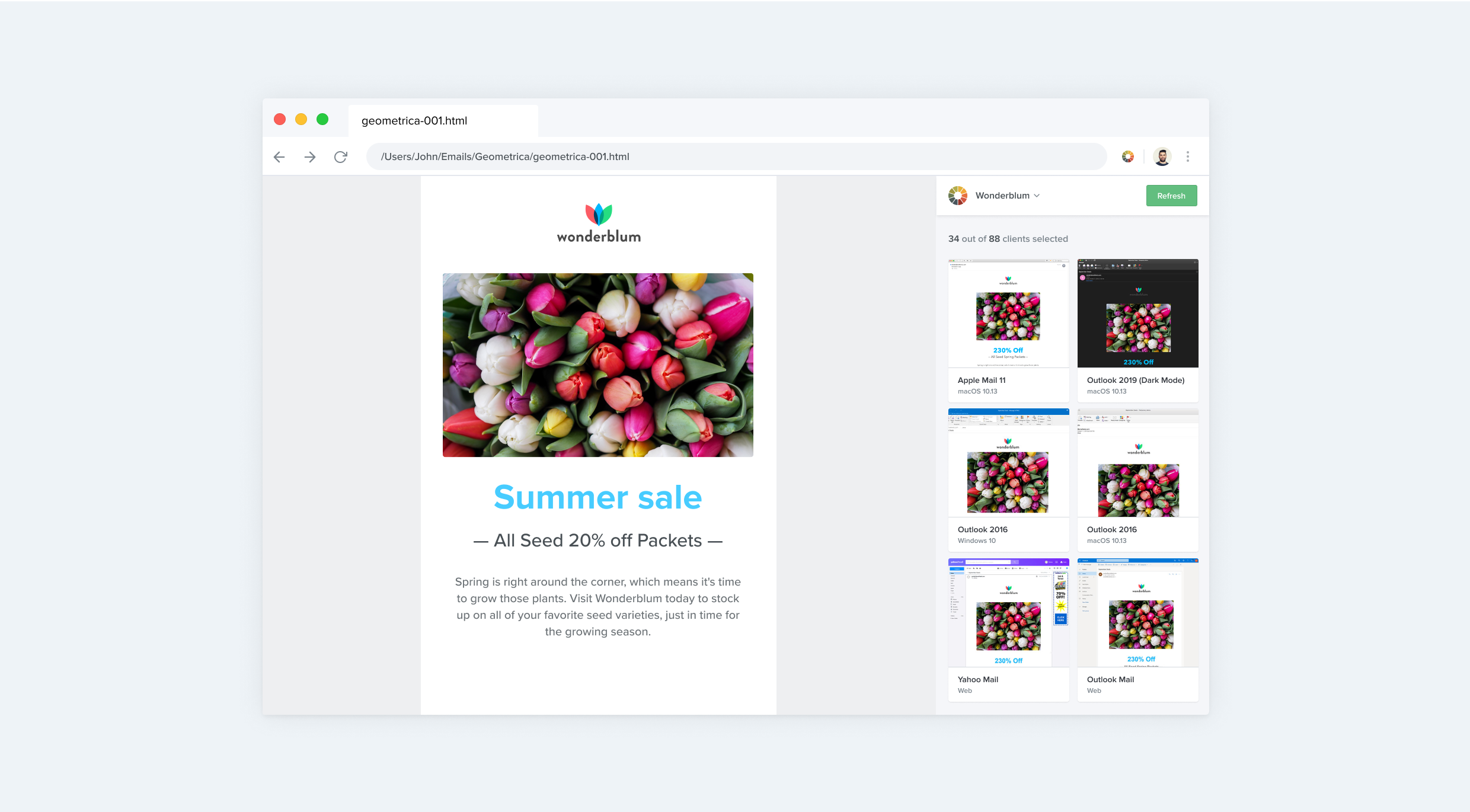 Litmus Extension testing a locally developed email